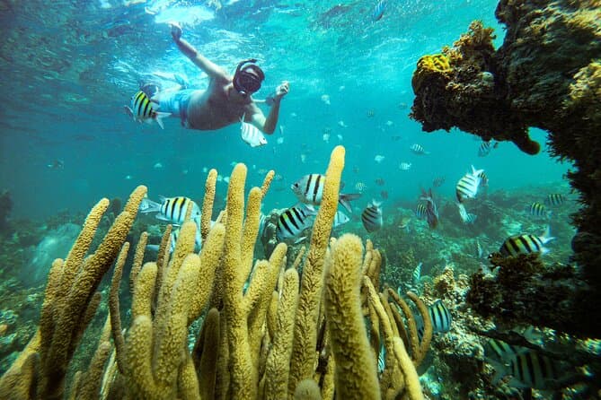 Unforgettable Underwater Scuba Adventures in Punta Cana