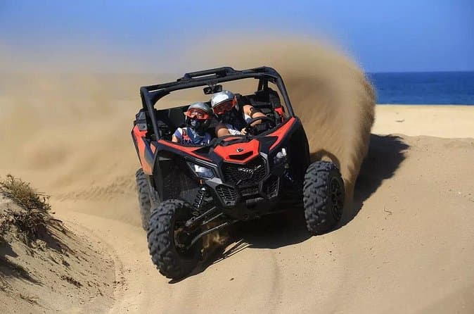 Best Cabo Buggy Adventures Compared