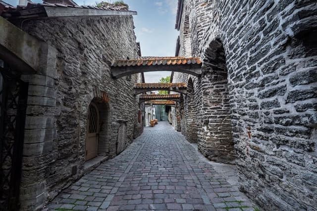 Deluxe Tallinn Small-Group Shore Excursion for Cruise Ships