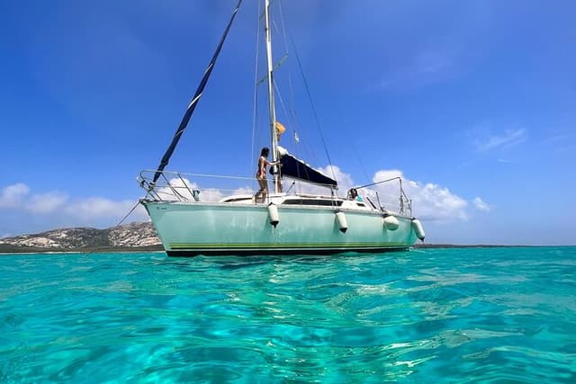 From Stintino: sailboat tour to Asinara with lunch