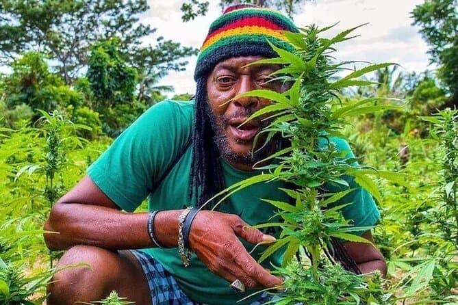 Rasta Safari ATV Experience