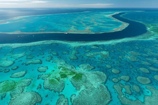 Heart Reef & Whitehaven Rest and Relax - ~2.5Hr Helicopter Tour