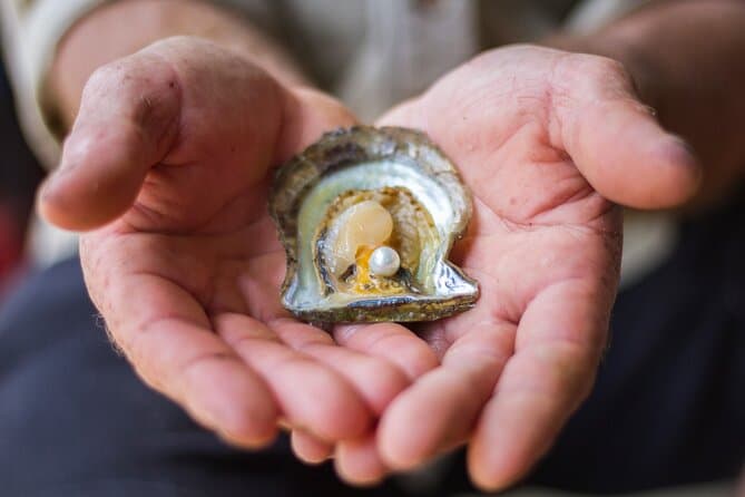 Top-Rated Pearl Farm Excursions Near Sydney