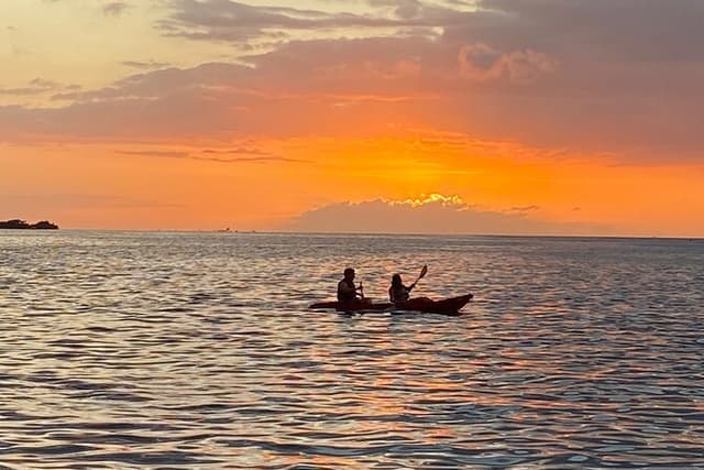 Fajardo Bio Bay Kayak - Roundtrip Hotel Transport