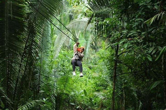 Cave Tubing and Jungle Zipline from Belize City with Lunch.
