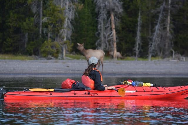 Small-Group Sunset Kayaking Tour on Lake Yellowstone