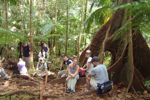 St. Kitts Rainforest Rumble (with Snacks)