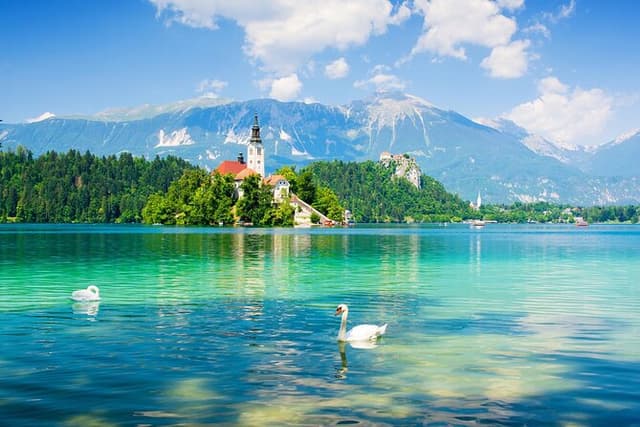 Postojna Cave, Predjama Castle and Lake Bled Tour from Ljubljana