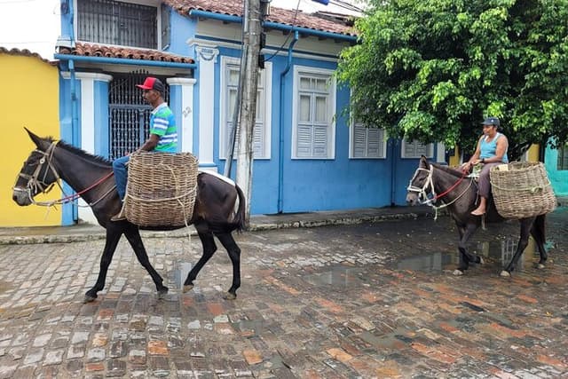 Private Countryside Full-Day Tour to Cachoeira - Lunch Included