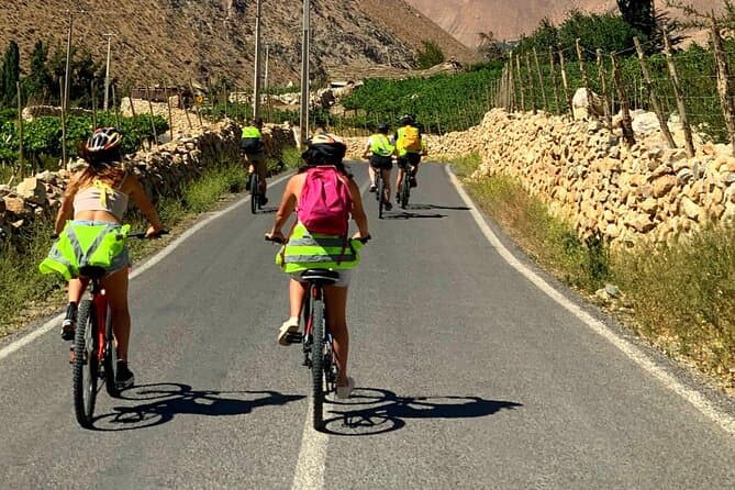 Best Elqui Valley Bike Tours in Pisco Elqui, Chile