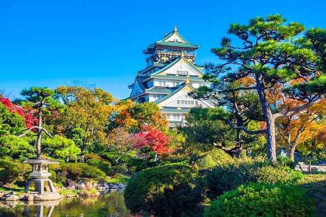 Tour and Food Tour in Osaka with Goverment Guide All incluided