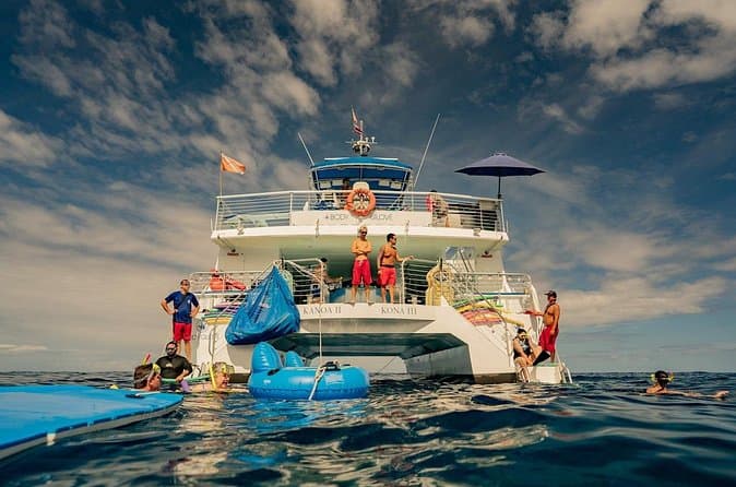Best Big Island Dolphin Watching Experiences