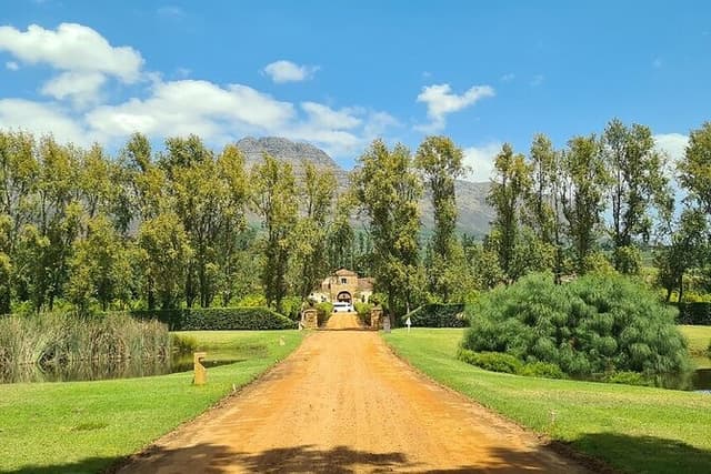 Wine tasting in Cape Winelands Tour