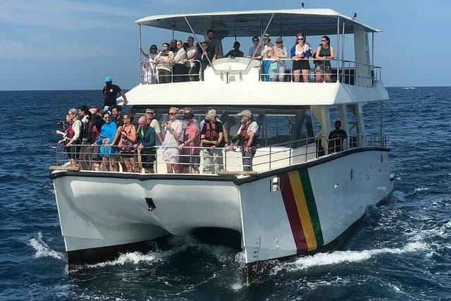Whale Watching Mirissa with WWC