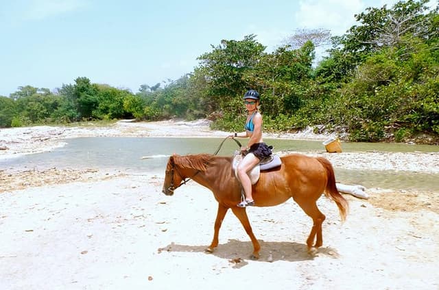 Horseback Ride, City Highlight Tour Ocho Rios(Entry fee included)