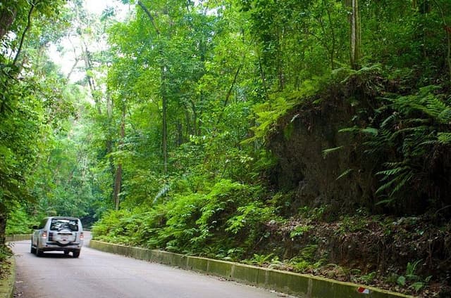 Ocho Rios Sightseeing, Beach Half-Day Tour (Admission include)