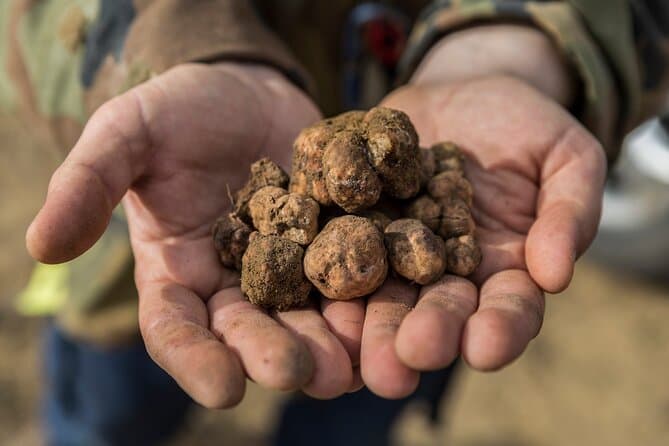 Authentic Tuscan Truffle Cooking Experience in San Gimignano