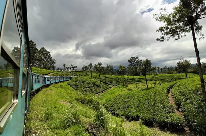 Best Colombo to Ella Train Tours