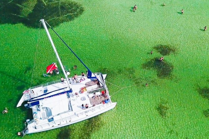 Best Shell Island Dolphin Tours & PCB Coastal Adventures