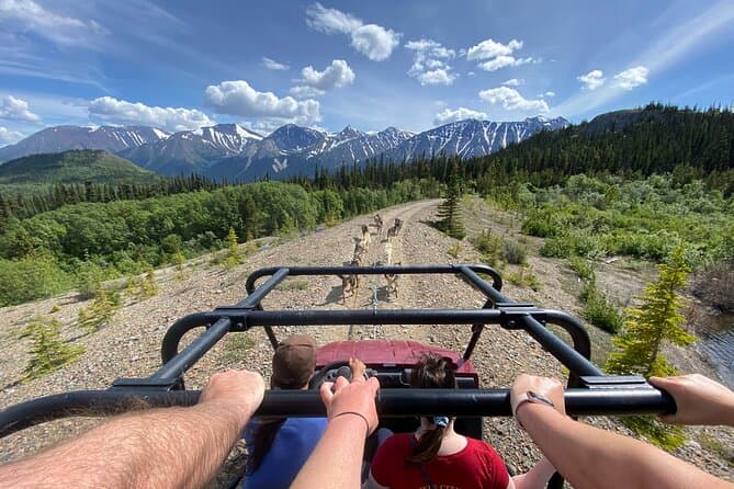 Best Skagway Dog Sledding Tours & Experiences
