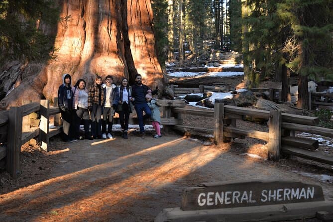 Best Sequoia National Park Day Trips from Los Angeles