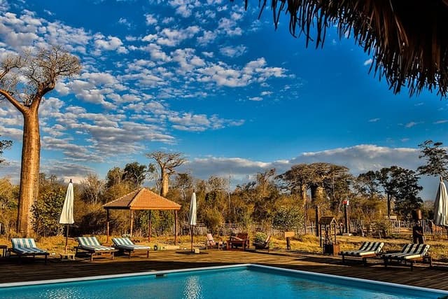 7- Days Private Tour Baobab Safari
