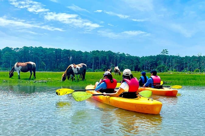 Explore Assateague & Chincoteague by Kayak