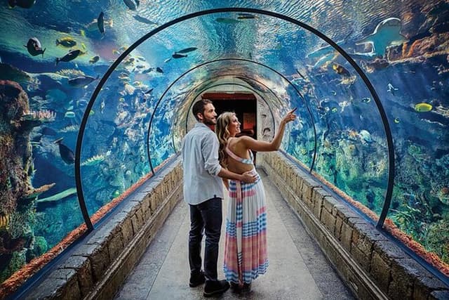 Shark Reef at Mandalay Bay Hotel and Casino