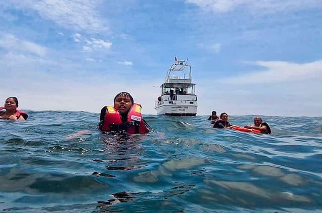 Palomino Islands Tour | Palomino Islands From Lima 2025