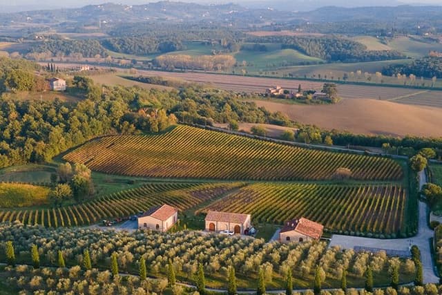 1h30m Wine Tasting and Visit to Val D'Orcia