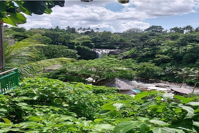 Full Day Ubud Tour