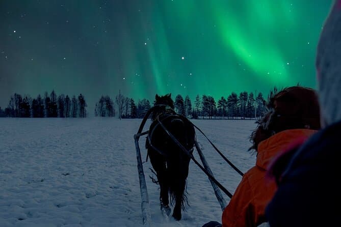 Rovaniemi Reindeer Sleigh Ride