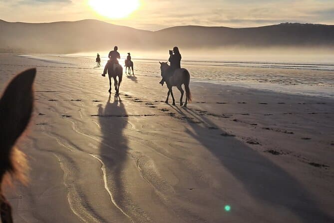 Unforgettable Coastal Horseback Riding Adventures in Ensenada