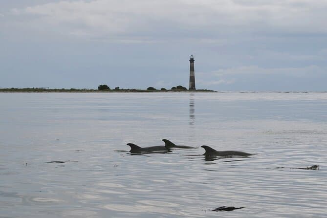 Eco-Friendly Charleston Boat Tours & Coastal Adventures