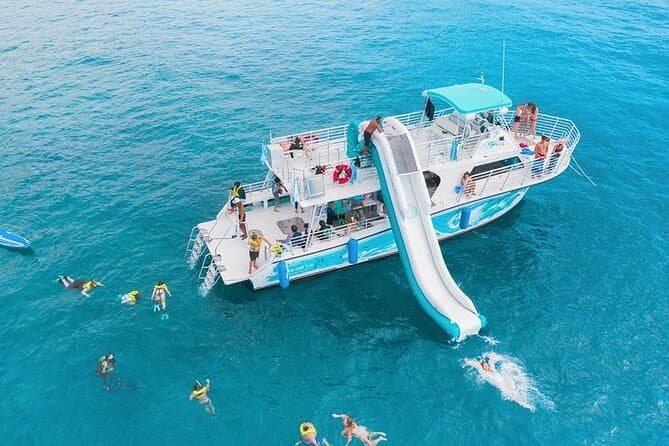 Best Oahu Whale Watching Tours