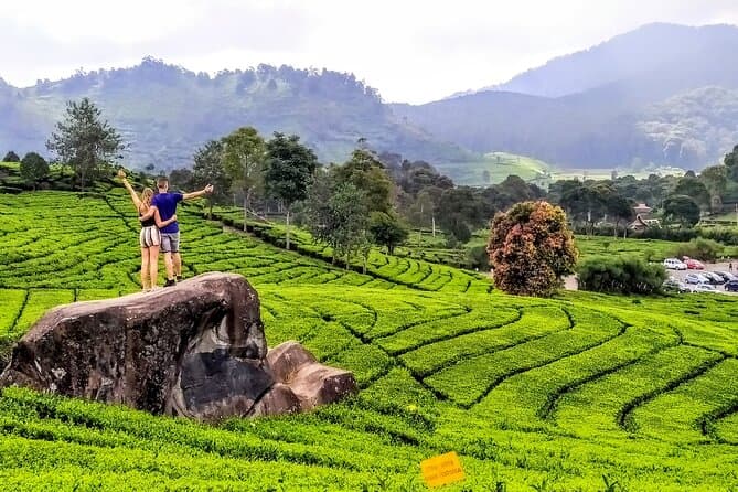 Best Private Car Rental & Tour Services in Bandung
