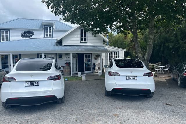 Martinborough Full Day Tandem Tesla Wine Tour