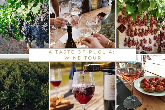 Trani: Wine tasting & Light Lunch in a Vineyard