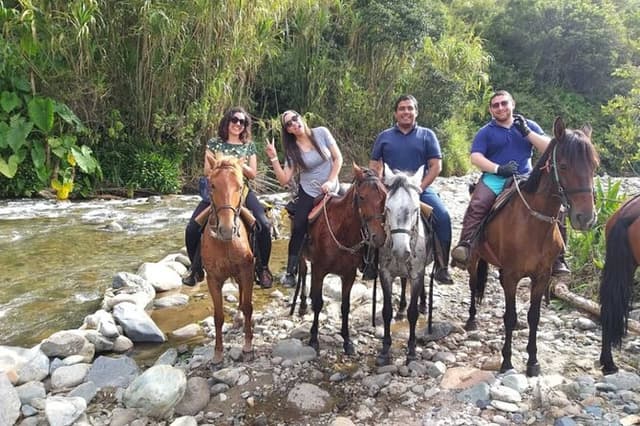 Cocora Valley and Salento Horseback Riding Day Tour