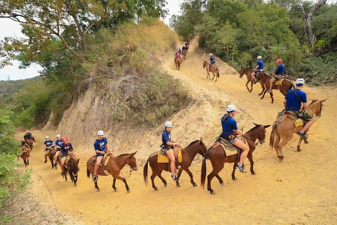 Top-Rated Puerto Vallarta Zipline & Jungle Adventures