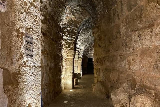 1 Day Tour to Amman Jerash and Ajloun castle