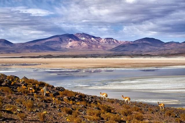 Private Expeditions Salar de Tara and Pujsa