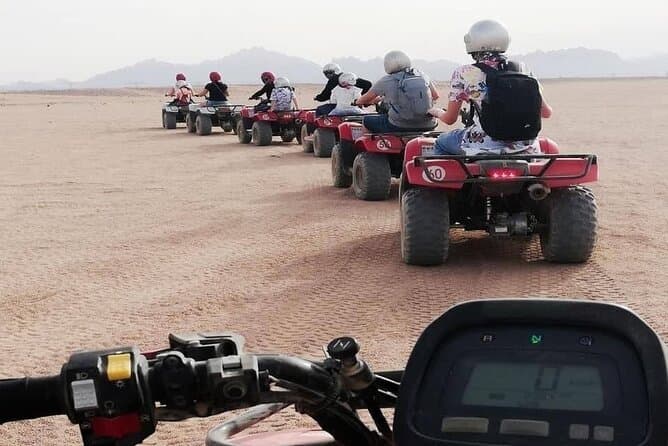 Experience the Magic of a Marsa Alam Camel Safari