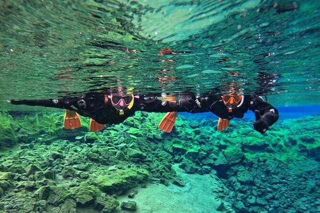 From Reykjavik- Silfra Snorkeling transfer included