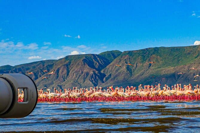 Best Lake Bogoria Safari Tours from Nairobi