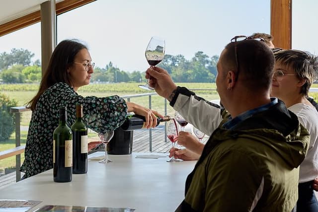 Half-Day Wine Tour in Margaux