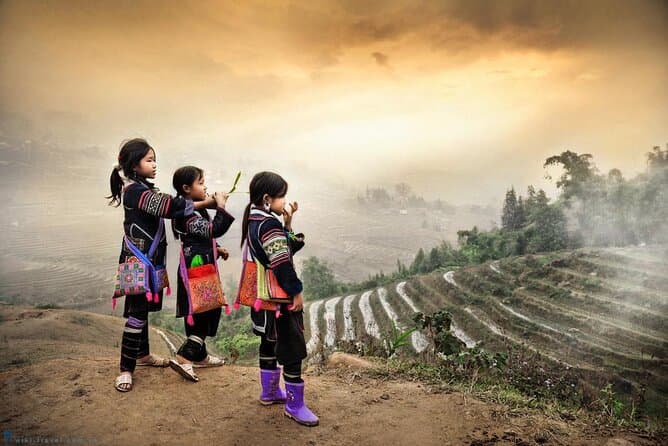 Premium Limousine Service: Hanoi to Sapa in Comfort