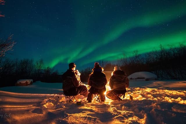 Adults Only Aurora Hunt with Wandering Owl