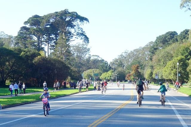Summer of Love San Francisco Guided eBike Tour Golden Gate Park