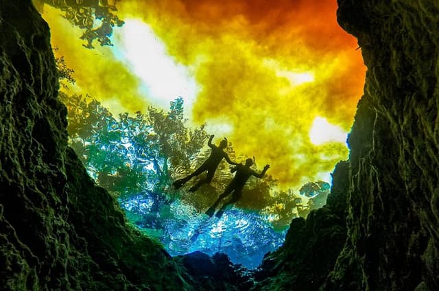Private Snorkeling Expedition in the Florida Springs